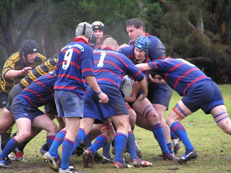 1st XV Maul
